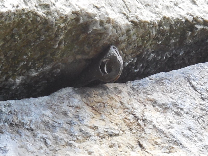 The fixed pin in the 1st horizontal below the P1 crux of "Birdland."