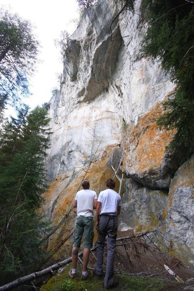 The main wall