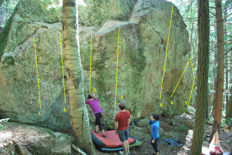 Topo of Yellowjacket Boulder:<br>
<br>
1. Little One<br>
2. Cavaletti (behind tree)<br>
3. Rock Shop<br>
4. Trillium and variations<br>
5. The Big Short<br>
6. Short Sale<br>
7. The Bottom Falls Out