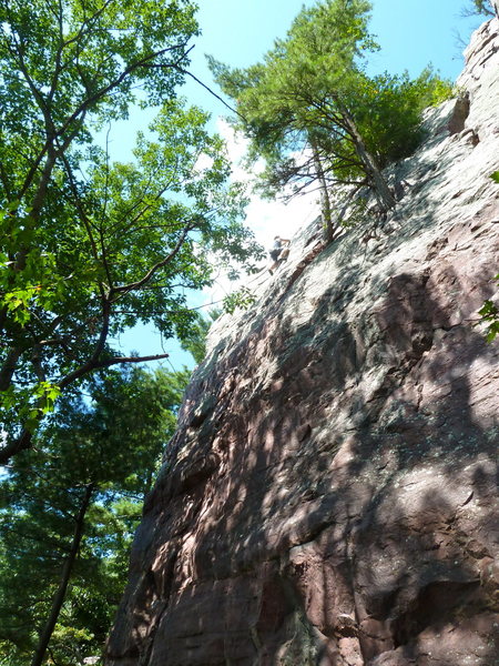 Up high on Peter's Project