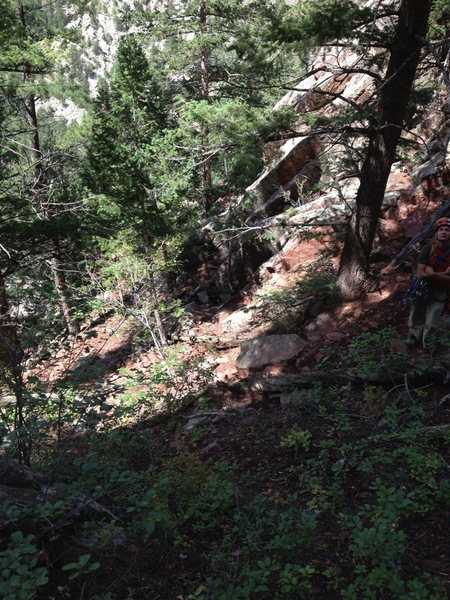 Looking down from the landing zone. At least 15m of trail/steps would need to be improved.