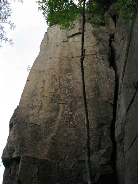 all buffed up..Bigfoot Was Here(the arete) and The Jolly Green Giant (right of the tree)