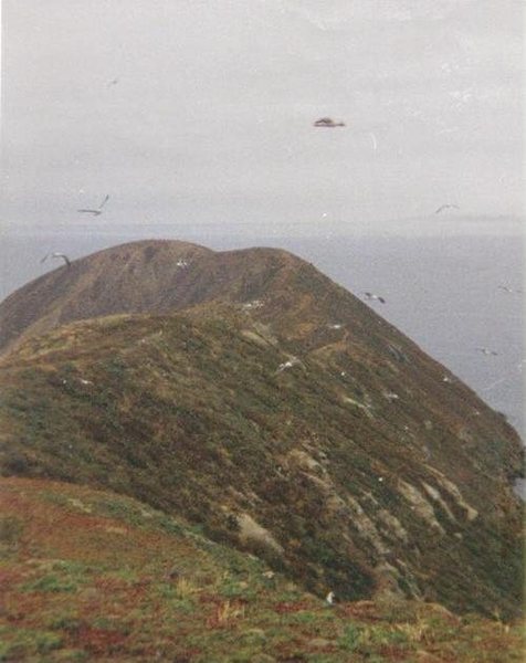 Another primo summit shot, Point Loma on horizon at upper right.