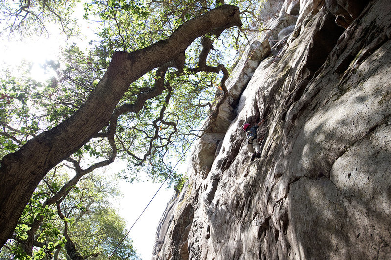 Bryson Fienup (age 6 in this photo) climbs through the Guide's Area, at Bishop Peak.