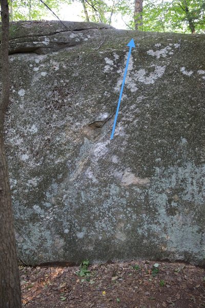 Swirley Flake (v1/2)