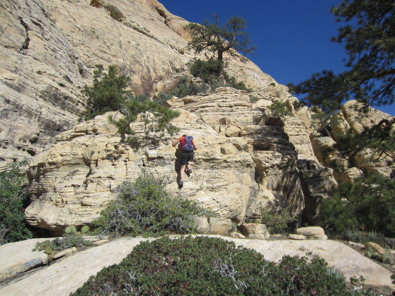 If you approach from Pine Creek you will eventually contour around from the west to get to the start of the arete, at the same elevation as the start of the arete (it's pretty obvious, if a little devious). When you reach the tiny forest below the east face, scramble up the front of this little buttress, then traverse about 200 feet right to the base of the first pitch. In this image, the NE Arete is basically the right skyline.