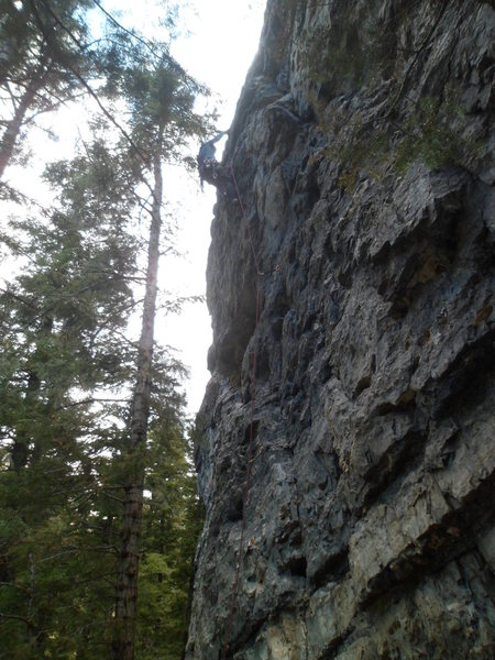 Trying to avoid <em>The Tree of Shame</em>!