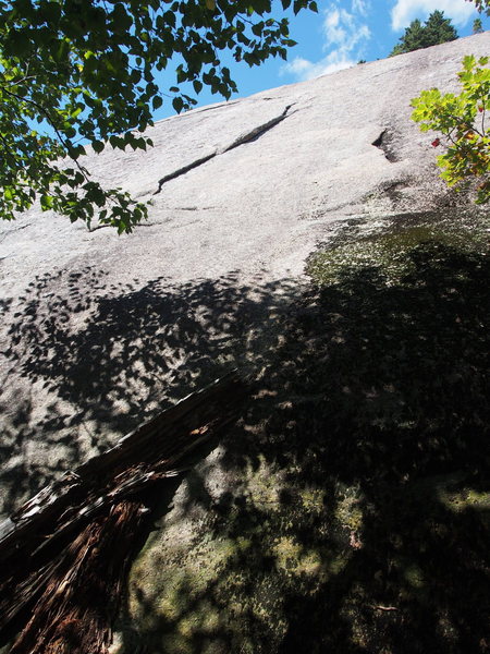 The Flake of Hornet (5.7) 20ft Right of "Bugs". "Dick to Rescue" is just right of the smaller flake to the right; remainder of log shows below.