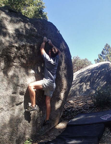 Crimps