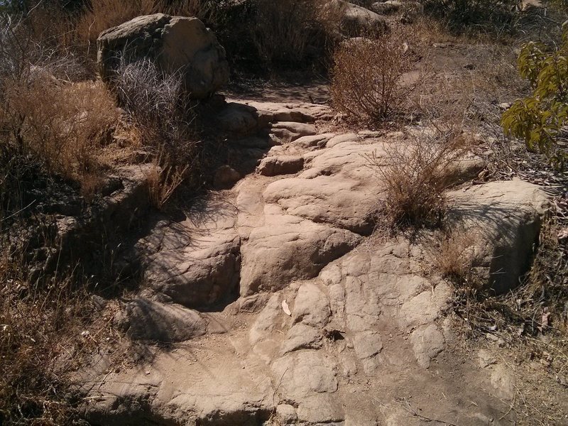 From the East trail, a trail with 'steps' heads toward the Back Wall.  Ace's Boulder is on the right-hand side of the trail.