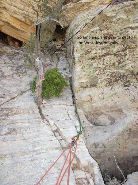 Top of the climb. The tree pictured here with the rack hanging, I believe was used as an anchor at one time. That tree is now completely dead, but there is an excellent crack right next to it.