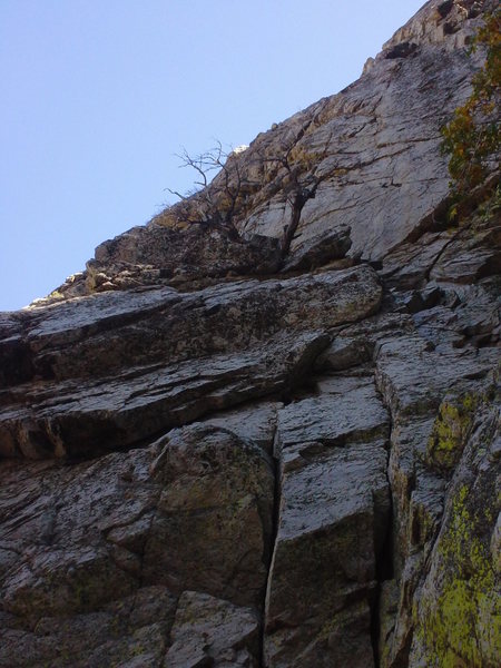 Looking up the lower half of P1 at the dead tree ledge. Be careful here, nobody (since nobody will climb it), because there are loads of sharp loose blocks getting on it.