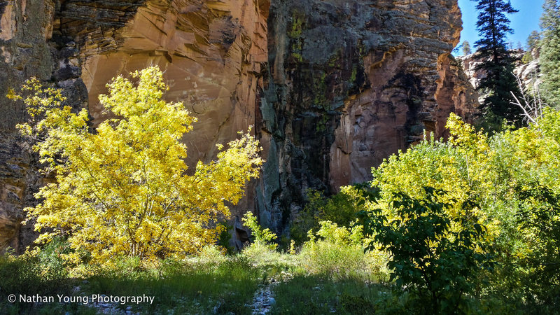 It's really stunning down there when the light plays with the leaves on the trees.
