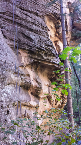 The overhanging start is definitely the most difficult part on this route. From the ground, all of the little pockets look like they would be amazing to hold, but they are all very slopey and it's difficult to find a positive hold from a clipping point. <br>
<br>
The bolt line follows the white colored sand stone into the small roof section. Feet are pretty sparse but if you get a heel hook in there it lightens up the difficulty by a fair amount.