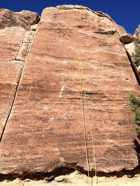 Another face shot of Bubblicious with chalk marking most holds.