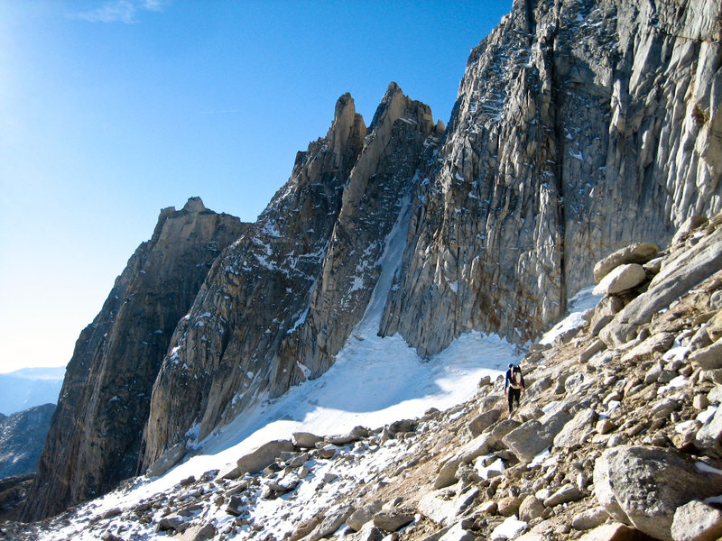 Gully looking good, early October in 2013