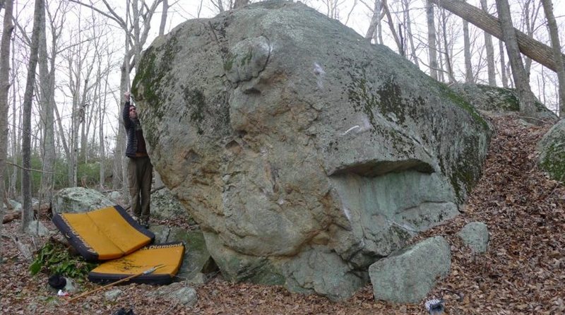 Mating Season is facing the view. Big flake is no longer there. Johnny is cleaning Organ Donor (V7).