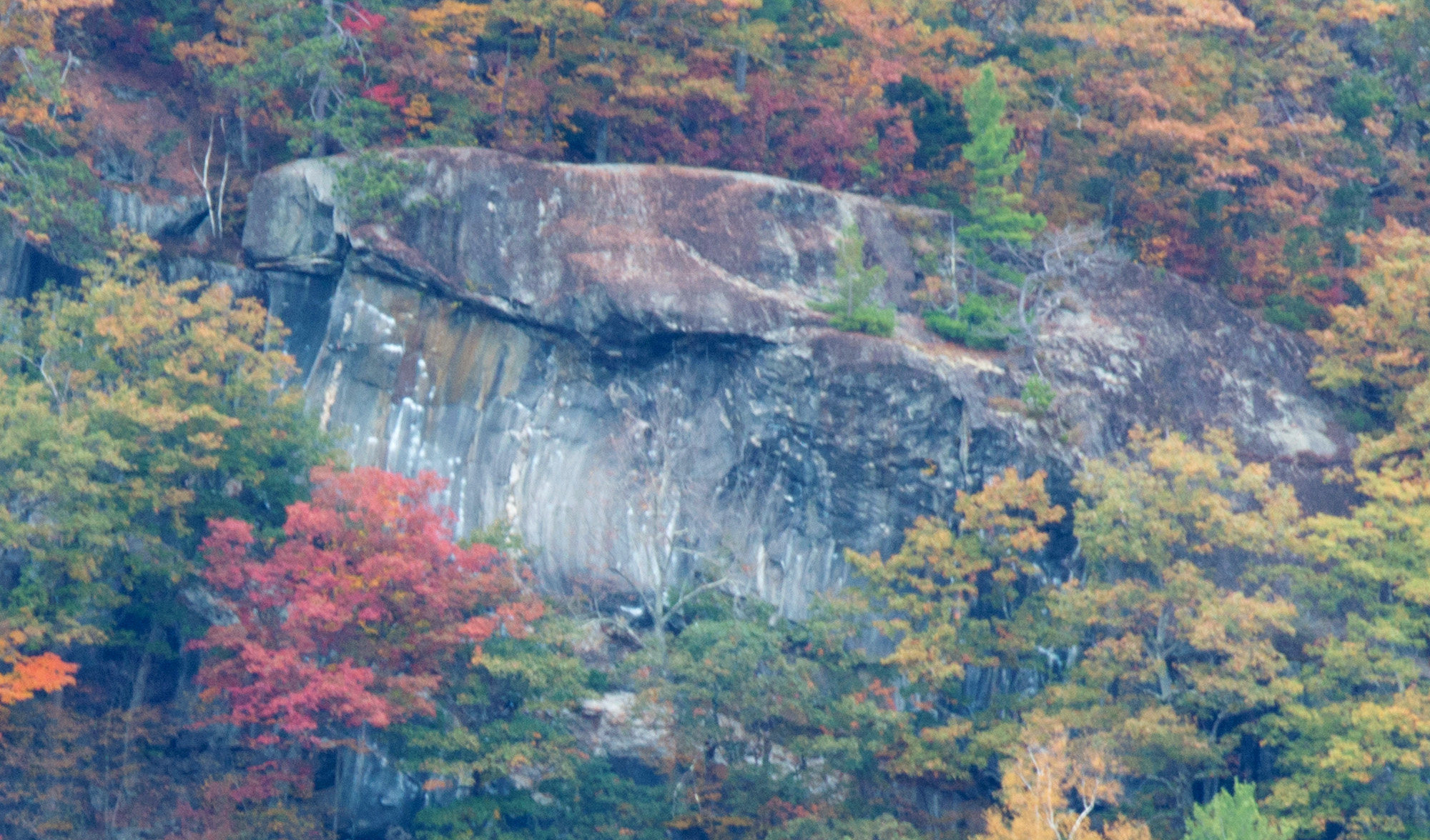 Waimea from across the valley.