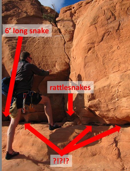 beward of snakes at the start of looking glass rock!