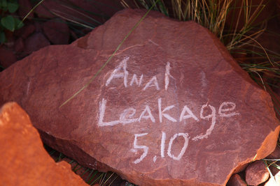 Rock Climb Anal Leakage, Indian Creek