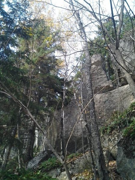 from the approach