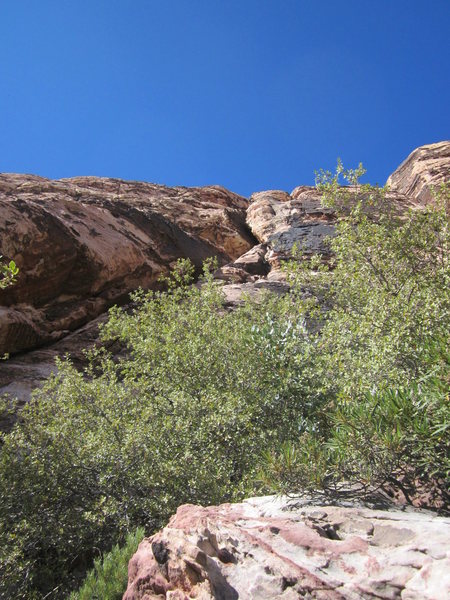 Looking up at Pitch 1.
