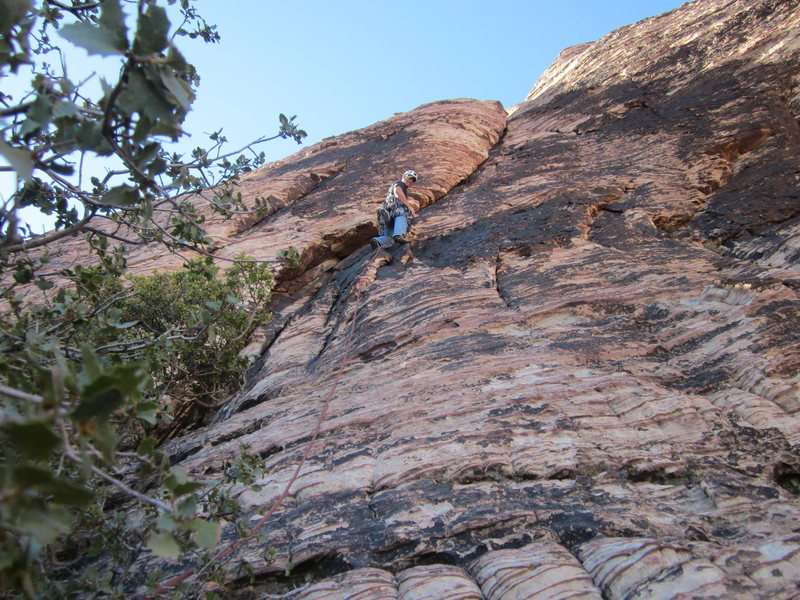 Starting up Pitch 4.