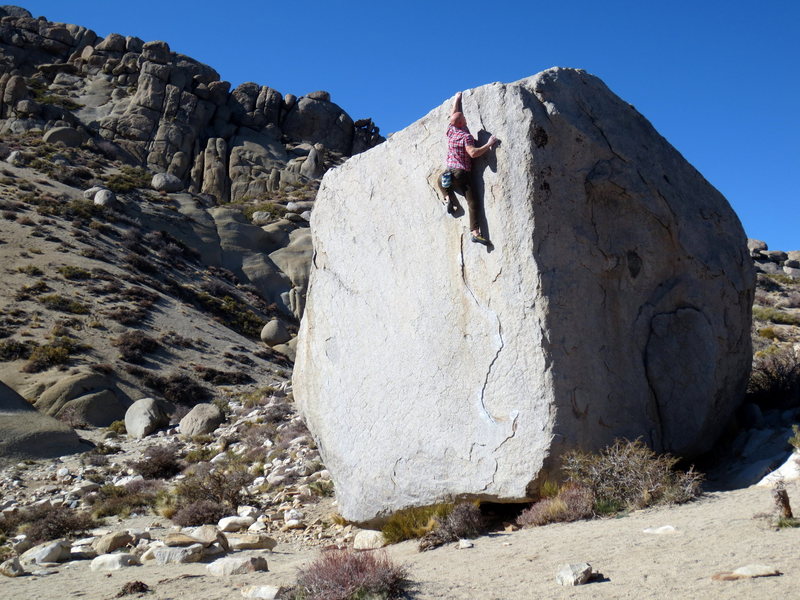 Sweet problem. Photo by Kevin Daniels.