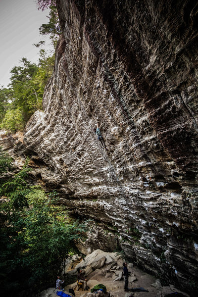 Travis climbing tall on Convicted.