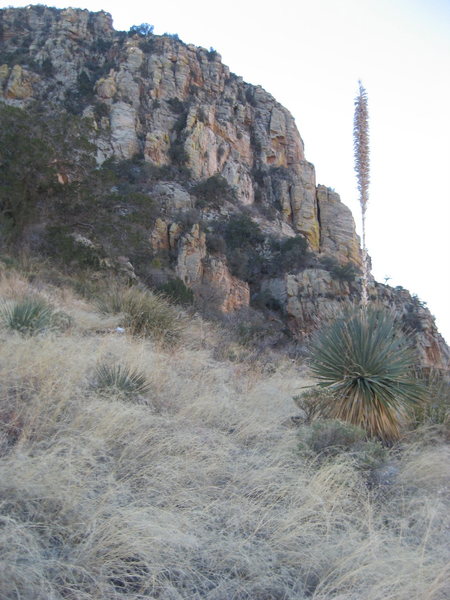 from the trail north of Billy Goat Bluff in the Ranger Danger Cliff band