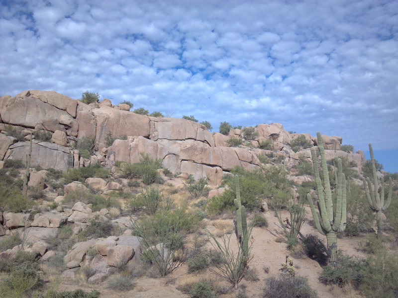View Northwest to the Cactus Flower (upper and lower) Wall. Banana Crack is at the center of the lower wall.
