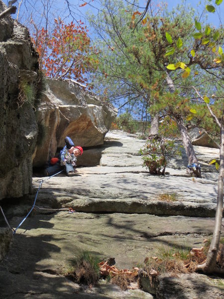 Mark gets ready to traverse right on P1. Notice mountain laurel, two rapp pines, and protruding block.
