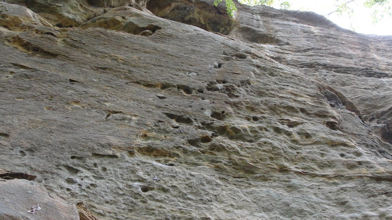 Buttercup 13c. Heads up and right from huge hueco at mid-height.