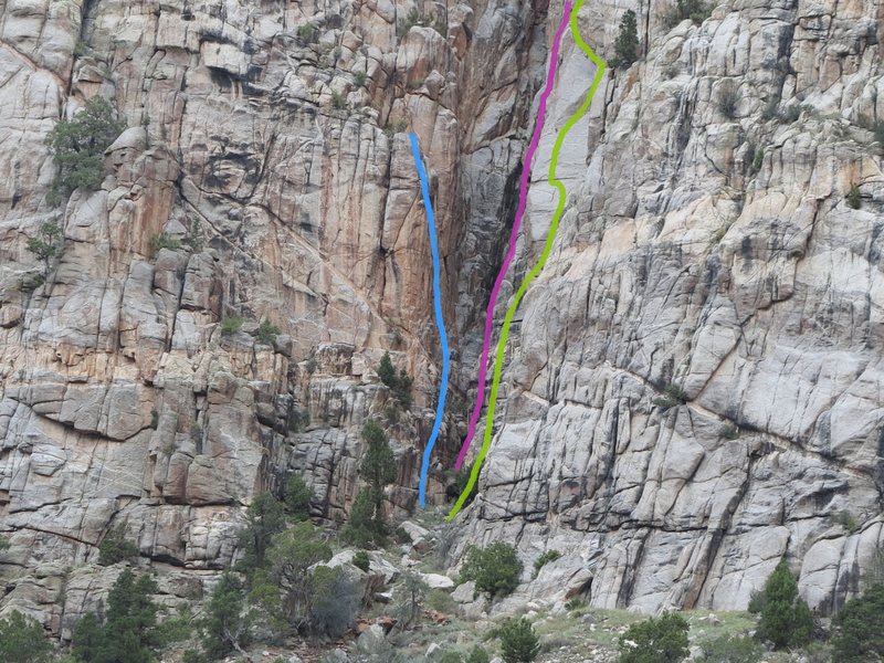 Purple on topo.