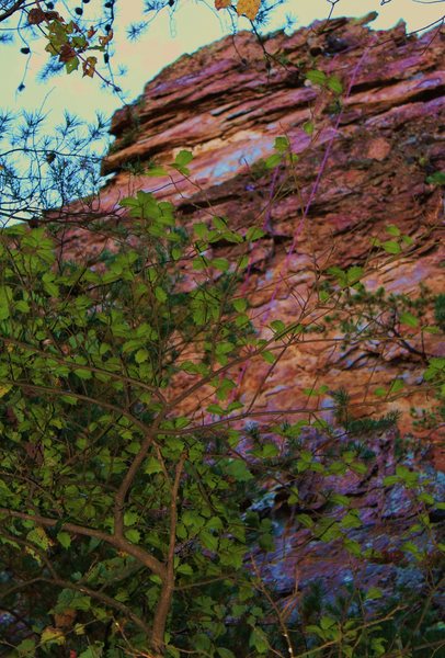 Pinky Pillar Wall<br>
<br>
When In Doubt, Pinkies Out (5.8+) trad<br>
<br>
Crowders Mountain State Park