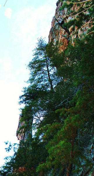 Pinky Pillar Wall<br>
<br>
Crowders Mountain State Park, North Carolina