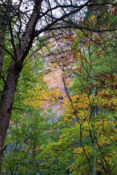 Pinky Pillar Wall<br>
<br>
Crowders Mountain State Park, North Caroilna