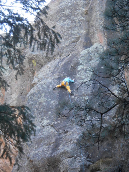Savannah's first lead climb, ended up taking a sweet fall near the top.