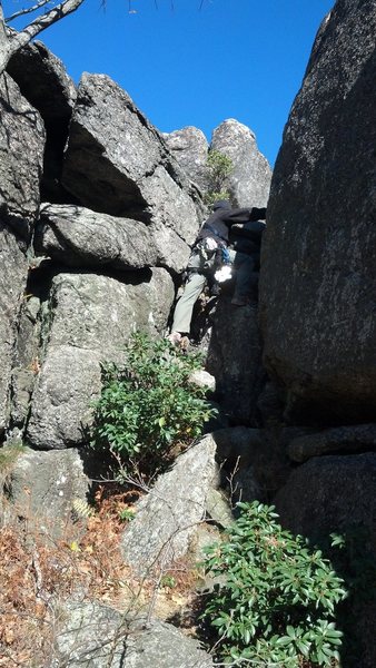 Scrambling Down to Beginner's Crack from the summit.
