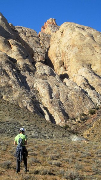 Looking up into the slot canyon approach