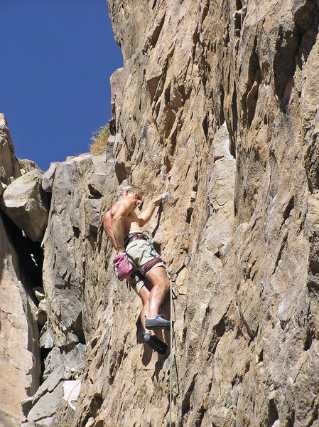 D. Pedersen looking strong!