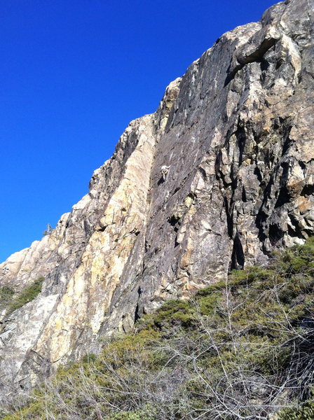 brad johnson - FA High Lands .10. Bowman Valley, CA.