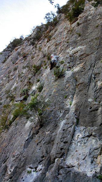 Here you can see how it angles left toward the top