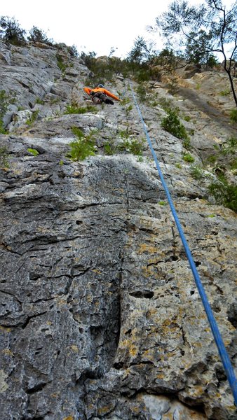 The whole route in view