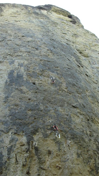 Looking up at Paleface- 13a.