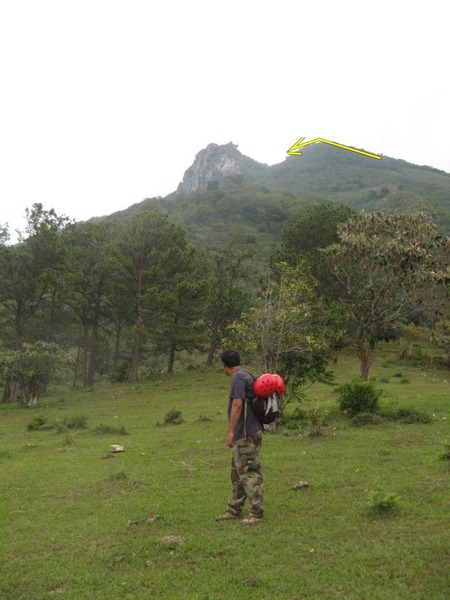 The easiest approach to the top is from the right (East), hooking around behind the rock, and approaching from the North.