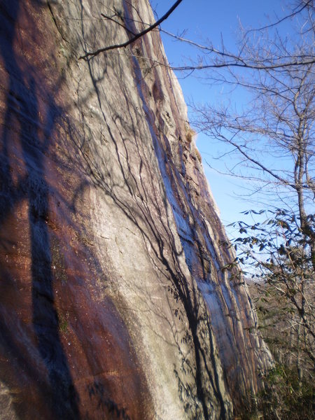 The route ascends the face between the two water streaks. Just left of the furthest right streak.