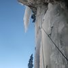 2nd pitch of Talisman. Fat this year. <br>
<br>
Photo: Pat McCarthy, December 2013.