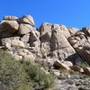 The Gold Nuggets, Joshua Tree NP 