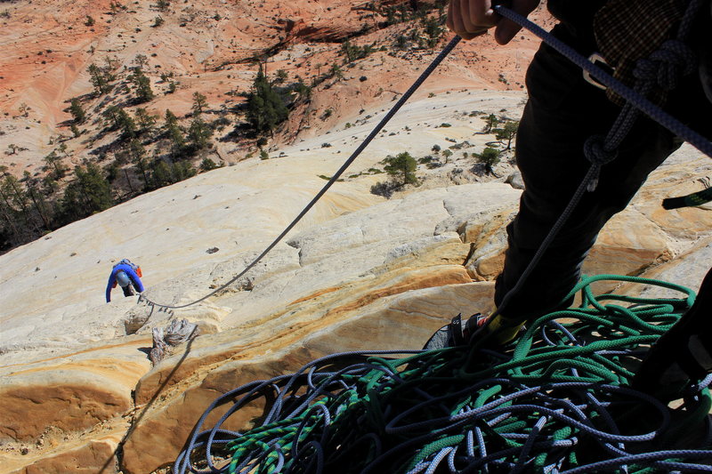 Led By Sheep, Aries Butte - Zion